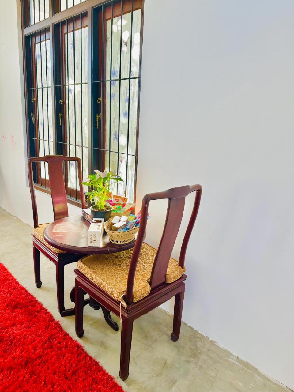Sea Breeze Guest House Negombo Dış mekan fotoğraf