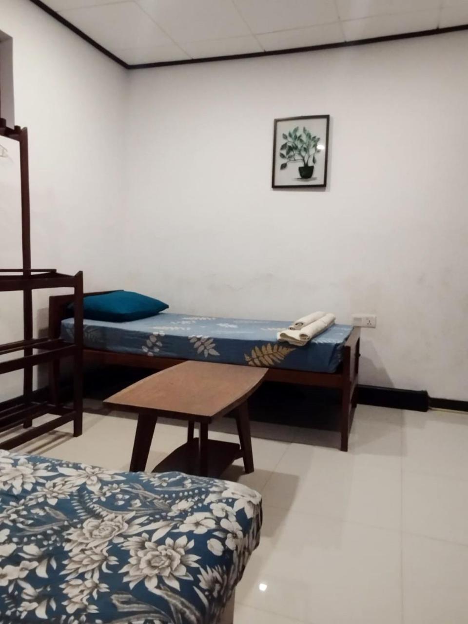Sea Breeze Guest House Negombo Dış mekan fotoğraf