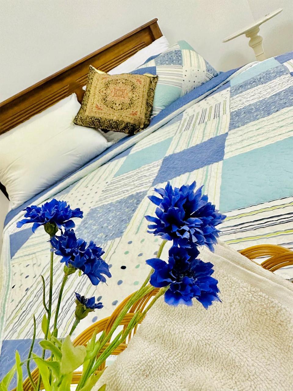 Sea Breeze Guest House Negombo Dış mekan fotoğraf